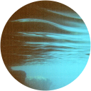 Ivano Pantaleo profile picture